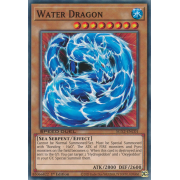 SGX2-ENC01 Water Dragon Commune