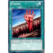 YS12-FR025 Fissure Commune