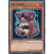 SGX2-ENE01 Des Koala Commune