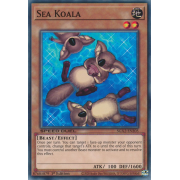 SGX2-ENE05 Sea Koala Commune