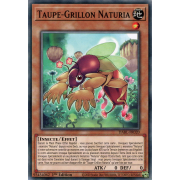 DABL-FR020 Taupe-Grillon Naturia Commune