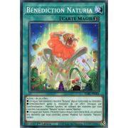 DABL-FR064 Bénédiction Naturia Commune