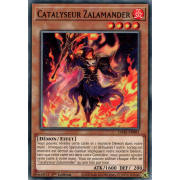 DABL-FR082 Catalyseur Zalamander Commune