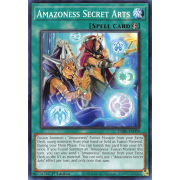 DABL-EN099 Amazoness Secret Arts Commune