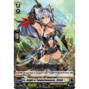 D-BT06/048EN Knight of Tempestuousness, Vriede Rare (R)