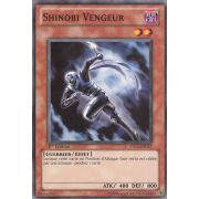 YS11-FR017 Shinobi Vengeur Commune