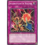 YS11-FR037 Interruption de Raigeki Commune