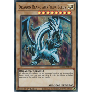 MAMA-FR104 Dragon Blanc aux Yeux Bleus Ultra Rare (Pharaoh's Rare)