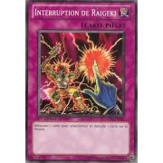 5DS3-FR032 Interruption de Raigeki Commune