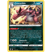 SS12_113/195 Crocorible Holo Rare