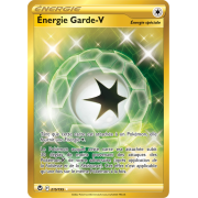 SS12_215/195 Énergie Garde-V Secret Rare