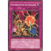 5DS2-FR036 Interruption de Raigeki Commune