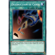 SR13-FR032 Destruction de Carte Commune