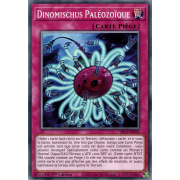 SR13-FR039 Dinomischus Paléozoïque Commune