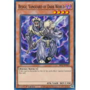 SR13-EN010 Beiige, Vanguard of Dark World Commune