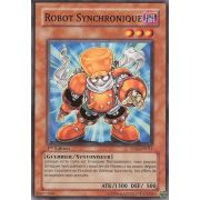 5DS1-FR011 Robot Synchronique Commune