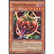 5DS1-FR017 Tomate Mystique Commune