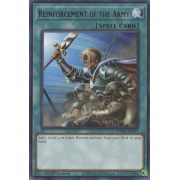 AMDE-EN039 Reinforcement of the Army Rare