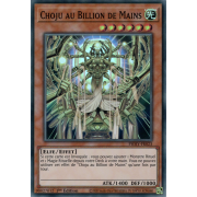 PHHY-FR023 Choju au Billion de Mains Super Rare