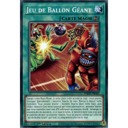 PHHY-FR062 Jeu de Ballon Géant Commune