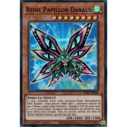 PHHY-FR094 Reine Papillon Danaus Super Rare