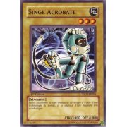 YSDS-FR004 Singe Acrobate Commune