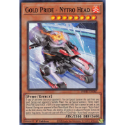 PHHY-EN087 Gold Pride - Nytro Head Super Rare