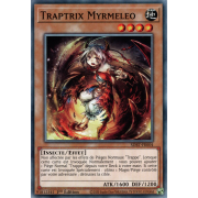 SDBT-FR004 Traptrix Myrmeleo Commune