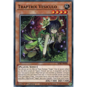 SDBT-FR008 Traptrix Vesiculo Commune