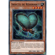 SDBT-FR012 Insecte de Résonance Commune