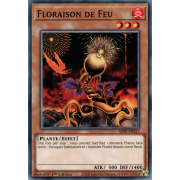 SDBT-FR013 Floraison de Feu Commune