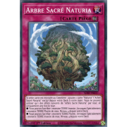 SDBT-FR037 Arbre Sacrée Naturia Commune