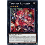SDBT-FR039 Traptrix Rafflesia Commune