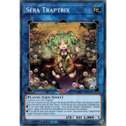 SDBT-FR044 Séra Traptrix Commune