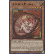 SDBT-EN001 Traptrix Pudica Ultra Rare