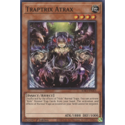 SDBT-EN003 Traptrix Atrax Commune