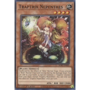 SDBT-EN005 Traptrix Nepenthes Commune