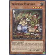 SDBT-EN006 Traptrix Dionaea Commune