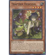 SDBT-EN008 Traptrix Vesiculo Commune