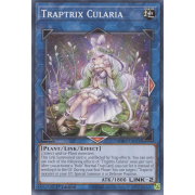 SDBT-EN041 Traptrix Cularia Commune