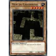 MAZE-FR031 Mur du Labyrinthe Rare