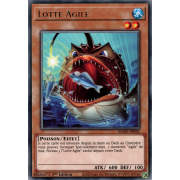 MAZE-FR042 Lotte Agile Rare