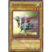 YSDJ-FR004 Canard Supersonique Commune