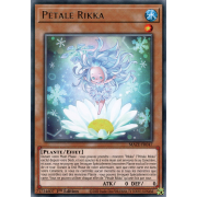 MAZE-FR047 Pétale Rikka Rare
