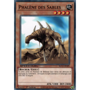 SGX3-FRA09 Phalène des Sables Commune