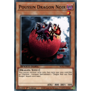 SGX3-FRB05 Poussin Dragon Noir Commune