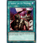 SGX3-FRC14 L'Appel de la Momie Commune