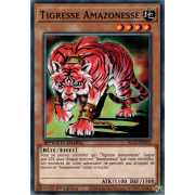 SGX3-FRD03 Tigresse Amazonesse Commune