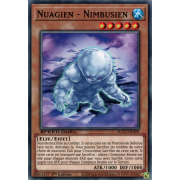 SGX3-FRH09 Nuagien - Nimbusien Commune