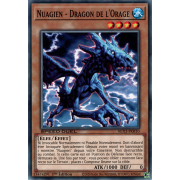 SGX3-FRH10 Nuagien - Dragon de l'Orage Commune